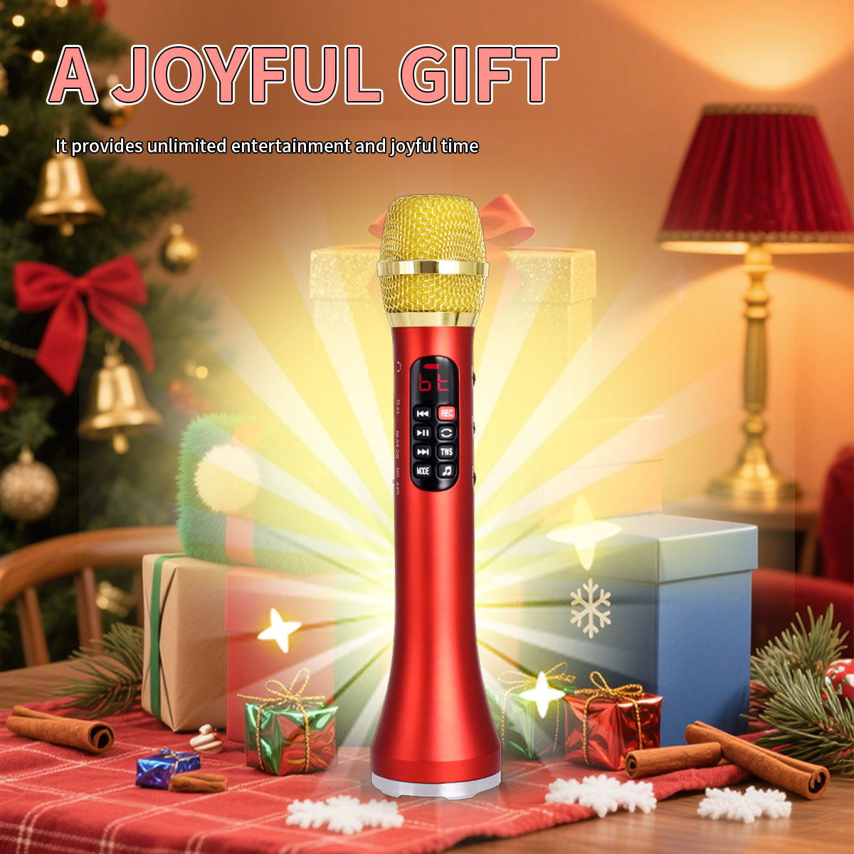 Speaker Kit - 1 Adet 28cm 25W/Adet Karaoke Mikrofon