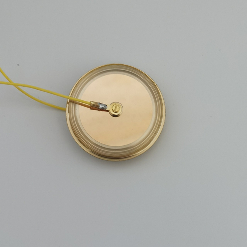 M7 Altın Kaplama 32mm Büyük Al - Microphone Capsule incelemesi ve fiyatı
