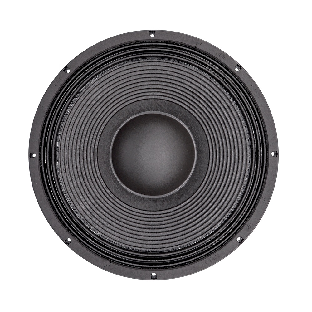 21'' Profesyonel Ses Sistemi L - Subwoofer incelemesi ve fiyatı