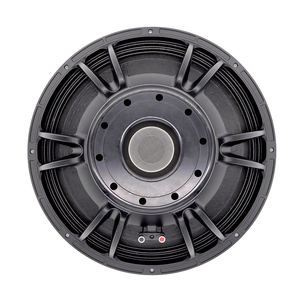 21'' Profesyonel Ses Sistemi L - Subwoofer incelemesi ve fiyatı